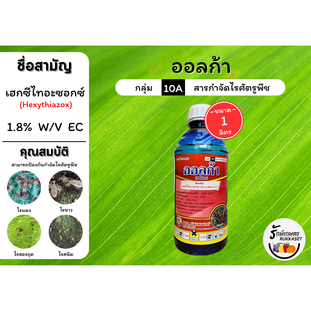 ออลก้า (เฮกซีไทอะซอกซ์ 1.8% W/V EC) ขนาด 1 ลิตร ป้องกันกําจัดไรศัตรูพืช ไรแดง ไรแมงมุม ไรขาว ไรสนิม