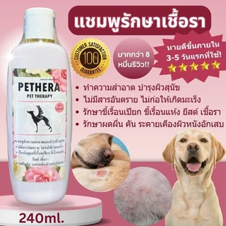 เซ็ตดูแลปกป้องผิวจากเชื้ อรา เรื้ อนแห้ง ยีส ต์สุนัขแมวขายดี No.1 แชมพูเชื้ อรายีสต์เรื้ อน++สเปรย์ป้องกันเชื้ อรา