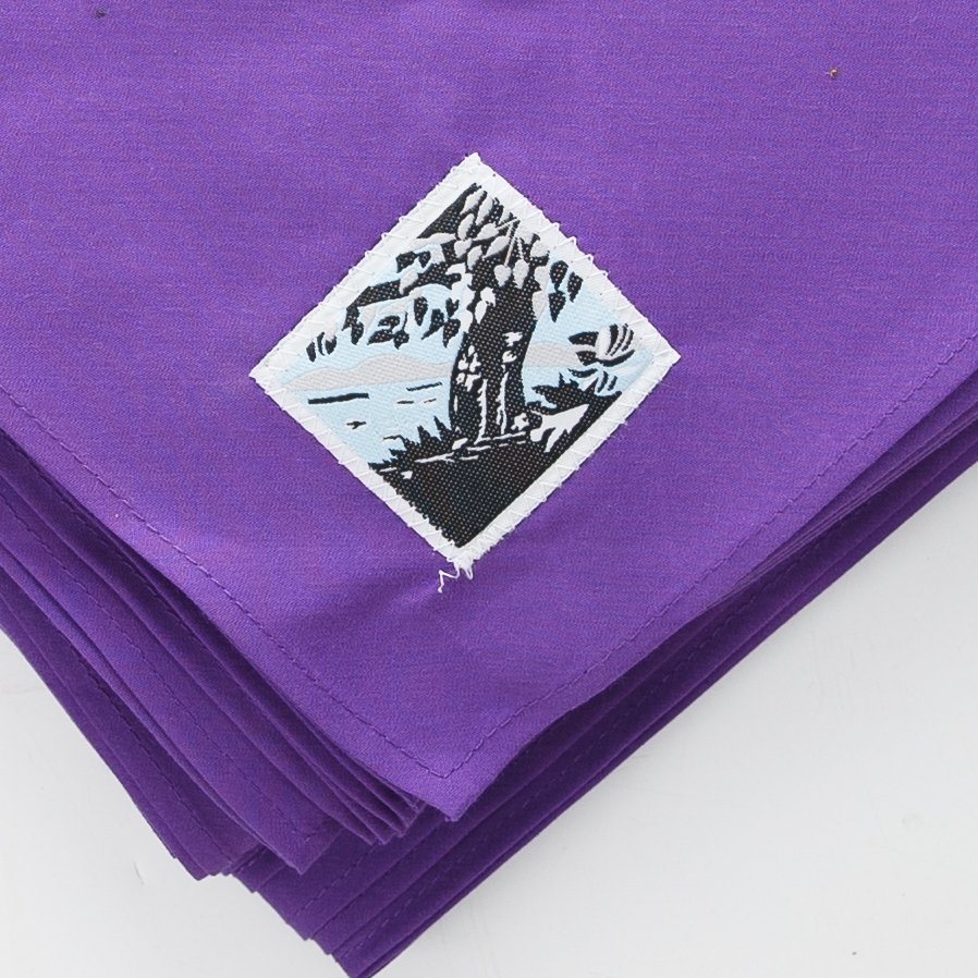 ผ้าพันคอลูกเสือสำหรับนักเรียน เขตภาคเหนือตอนล่าง – ผ้าฝ้ายผสม ถูกระเบียบ มาตรฐานลูกเสือไทย - รูปที่ 3