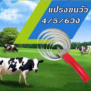 แปรงขนวัว แกะ ม้า สินค้ารับประกันคุณภาพ สินค้ามีคุณภาพ แปรงเกาขนวัว 4วง 5วง 6วง พร้อมส่งจากประเทศไทย