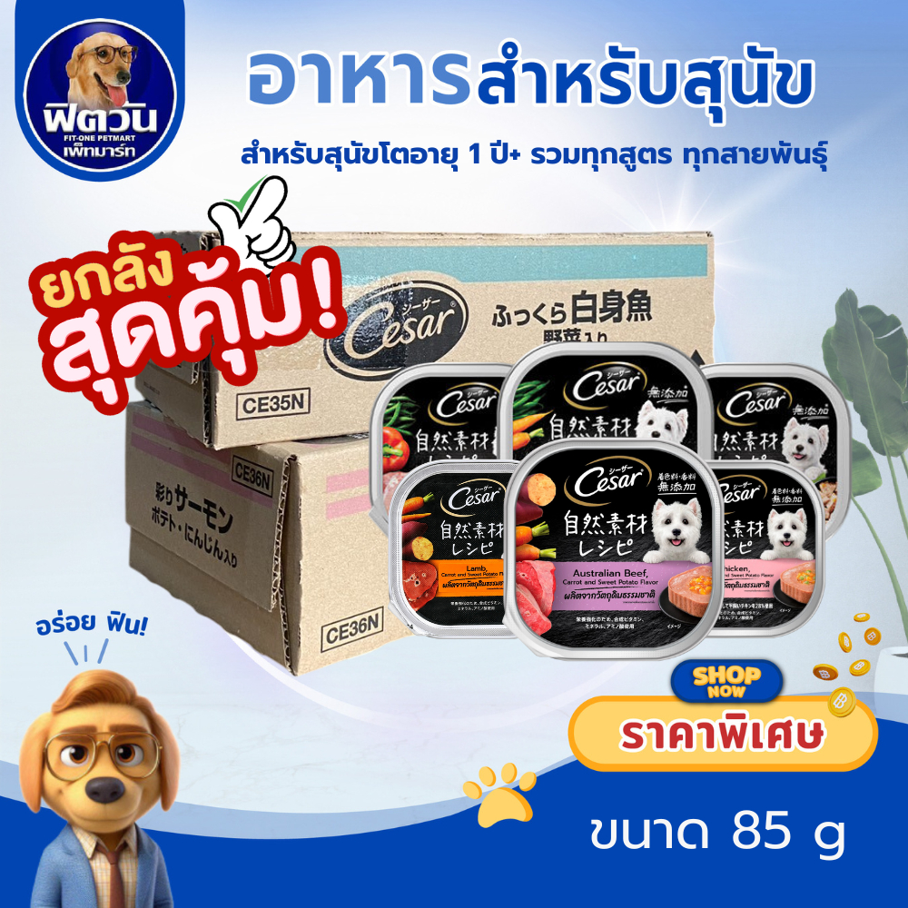 [X28ถาด] Cesar Craft อาหารสุนัขเปียก แบบถาด 85 กรัม {อาหารเปียกสุนัข}