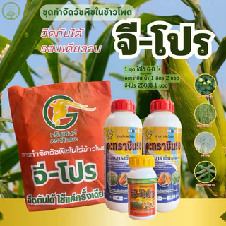 🌹👉จีโปร2พลัง+ : ยาคุม-ฆ่า กำจัดวัชพืในข้าวโพดและอ้อย🌽(สินค้าขายดี)