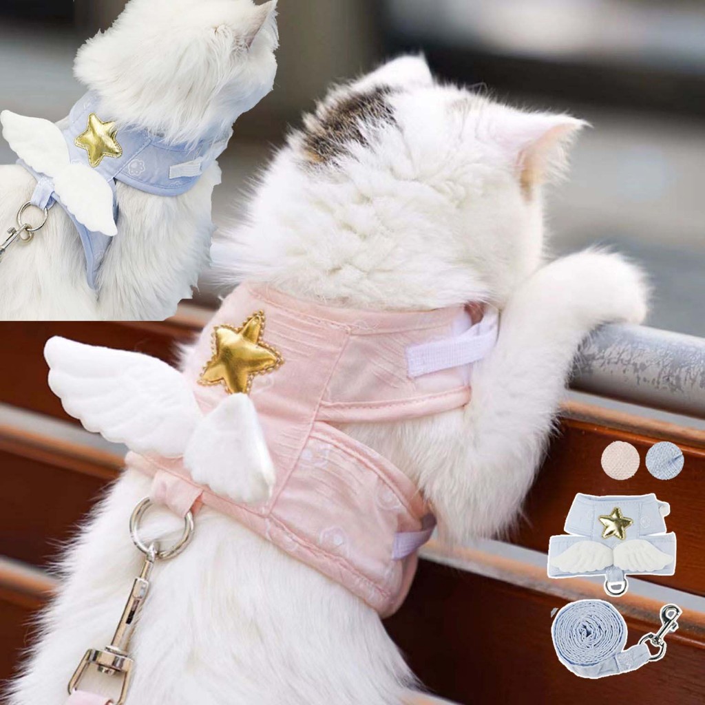 COD สายจูงแมว สายจูงสัตว์เลี้ยง Angel Wing Pet leash สุนัข สายรัดอกสุนัข สายจูงแมว สายจูงแมว สายจูงแมว สวยน่ารัก