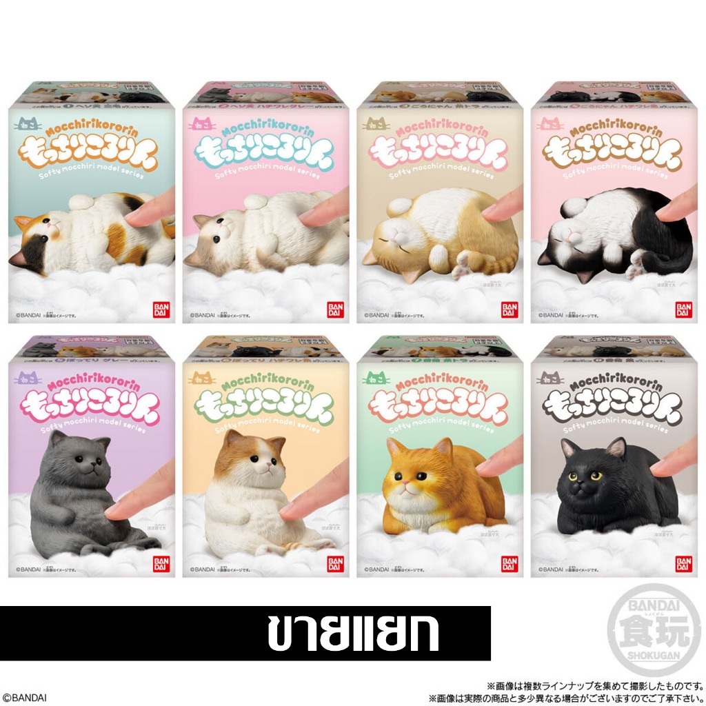 แยก Bandai Mocchirikororin Fluffy Tenori Friends โมเดล แมว Model Figure CAT