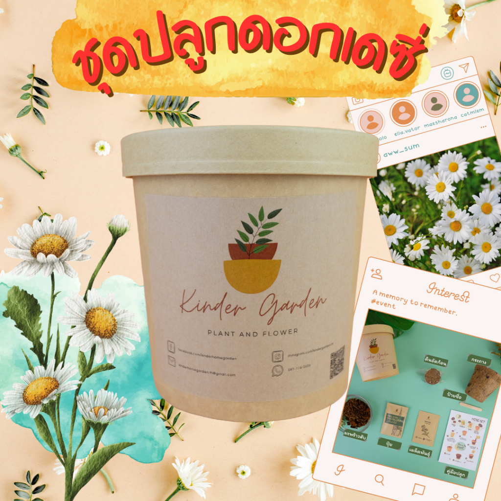 ชุดปลูกดอกเดซี่ ชุดปลูกดอกไม้ ชุดพร้อมปลูก ชุดของขวัญ Mini set
