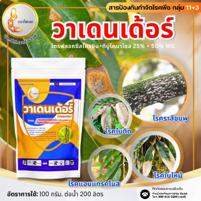 วาเดนเดอร์หยุดเชื้อราเข้ารักษาทันที ขนาด100กรัม