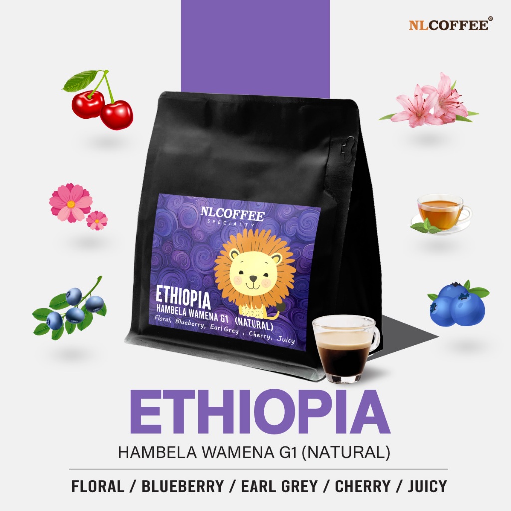 NLCOFFEE SPECIALTY เมล็ดกาแฟ Ethiopia Hambela Wemena G1 (Natural) 200กรัม (Cropใหม่)