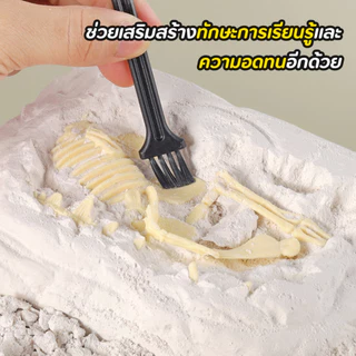 ของเล่น ขุดกระดูกไดโนเสาร์ ขุดของเล่น ไดโนเสาร์ ฟอสซิลอัญมณี หาสมบัติ
