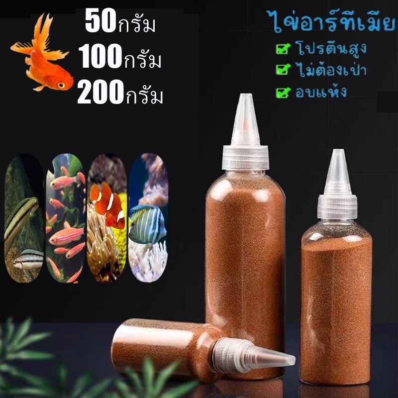 อาร์ทีเมีย อาหารปลากัด ไข่อาร์ทีเมีย อาหารลูกปลากัด ปลาหางนกยูง อาหารลูกปลาทอง ป้อนโดยตรง
