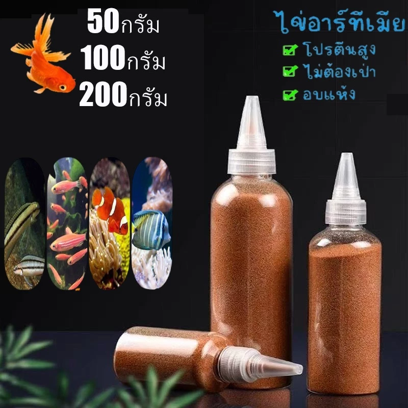 อาร์ทีเมีย อาหารปลากัด ไข่อาร์ทีเมีย อาหารลูกปลากัด ปลาหางนกยูง อาหารลูกปลาทอง ป้อนโดยตรง