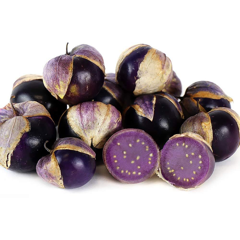 ต้นพันธุ์ โทงเทงฝรั่ง สีม่วง พร้อมปลูกในถุงดำ 29บาท เคพกูสเบอรี่ Purple Cape Gooseberry โทงเทงม่วง ระฆังทอง