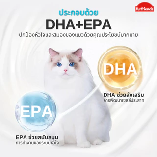 furfriends แซลมอนออยล์ บำรุงขน สุขภาพดี เสริมภูมิให้สัตว์เลี้ยง น้ำมันปลาแซลมอน แท้100% เกรดพรีเมียม น้ำมันปลา fish oil
