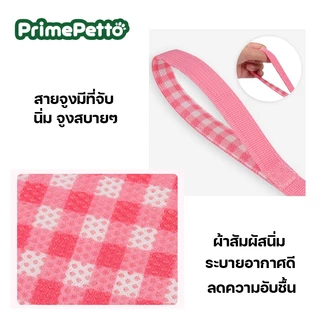 ได้ครบชุดพร้อมสายจูง ชุดรัดอกแมว ใส่สบาย ลดความอับชื้น ไม่อึดอัด สายรัดอกสุนัขพันธุ์เล็ก