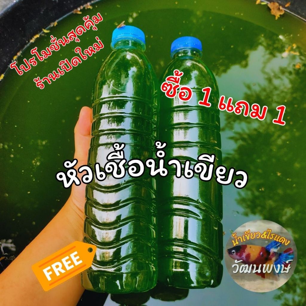 หัวเชื้อน้ำเขียวเข้มข้นมาก 1 แถม 1 สาหร่ายคลอเรลล่า 600 ml. ไรแดงโปรร้านเปิดใหม่แจกแถมสินค้าคุณภาพ