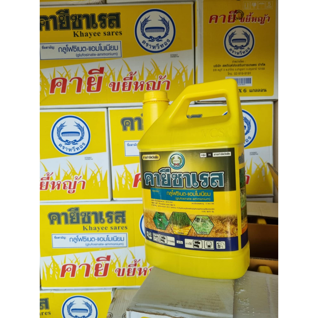 คายีซาเรส ยกลัง * ขนาด4ลิตร x 6แกลลอน  ของแท้ฝามีโลโก้