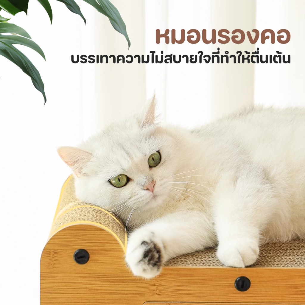 2 in 1 ไม้แมวบ้านไม้แมวสัตว์เลี้ยงเตียงรวมถึงแมวเกากระดานไม้เตียงโมดูลาร์สำหรับแมวลูกแมวพักผ่อนห้องแมวรังแมว - รูปที่ 4