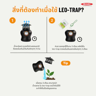 Leo-Trap กับดักไข่ยุงลาย นวัตกรรมกรมวิทย์ฯ กําจัดไข่ยุงลาย ไม่ใช้ไฟฟ้า สารเคมี 1 กล่องมี 2 กับดัก