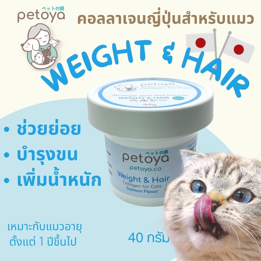 คอลลาเจนญี่ปุ่นสำหรับแมว สูตร WEIGHT &HAIR ช่วยย่อย บำรุงขน เพิ่มน้ำหนัก