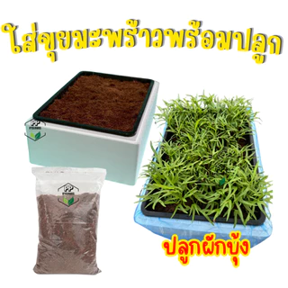 ชุดกล่องโฟม พร้อมถาดไดโซะ ชุดกล่องโฟมพร้อมถาดไดโซะ ชุดพร้อมปลูกผักไฮโดรโปนิกส์