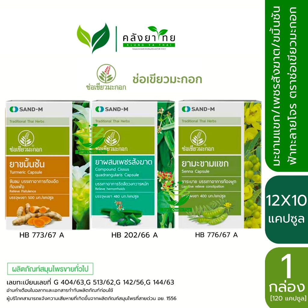 [ยกกล่อง] ช่อเขียวมะกอก SAND-M มะขามแขก/เพชรสังฆาต/ขมิ้นชัน/ฟ้าทะลายโจร แคปซูล ขนาด 12X10 แคปซูล