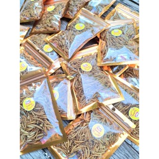 หนอนนกอบแห้ง 30 กรัม สำหรับชูก้า กระรอก แฮมเตอร์ สัตว์เลี้ยง…