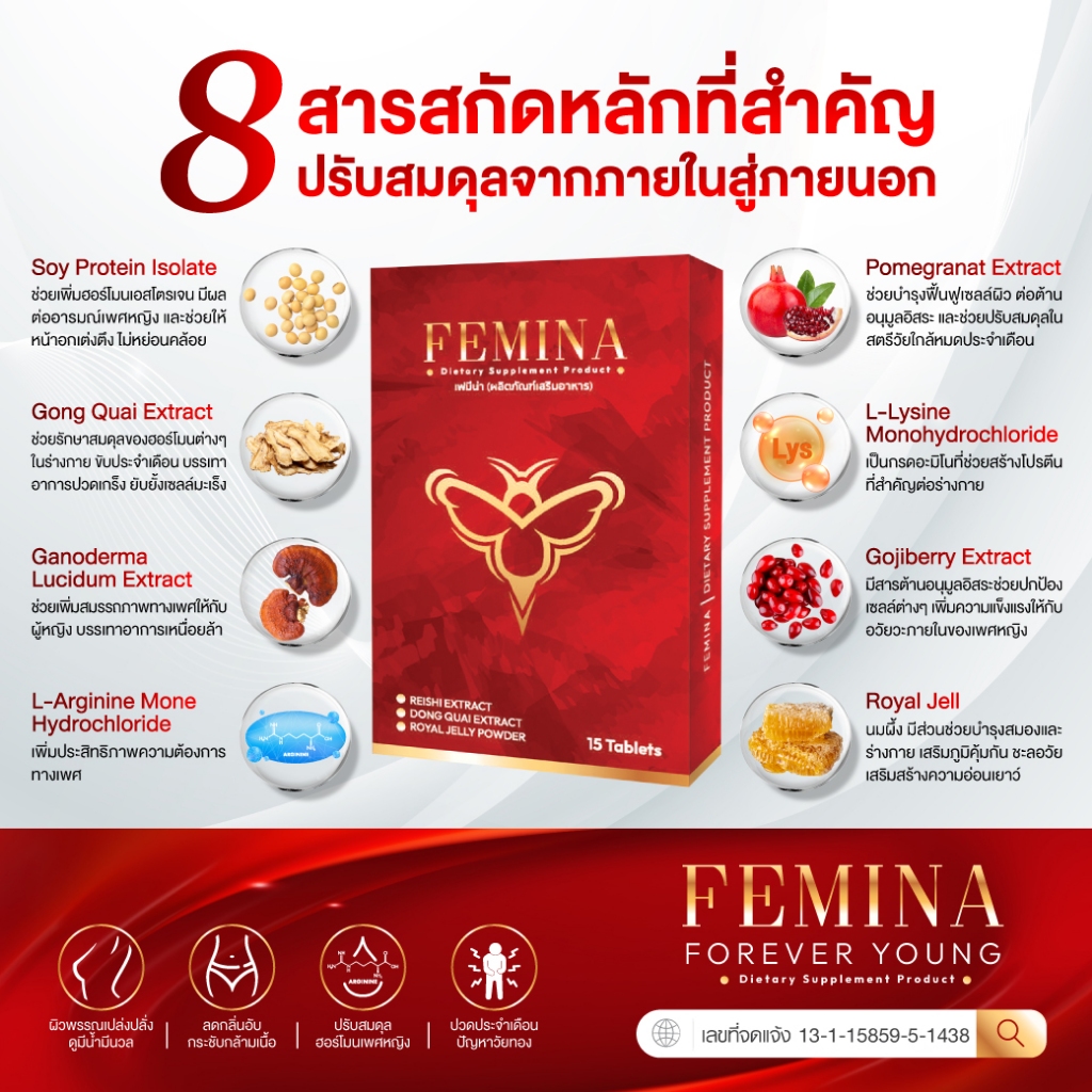 (10 กล่อง) เซ็ตสุดคุ้ม FEMINA • เฟมีน่า บำรุงภายในฟิต รูปที่ 4