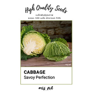 เมล็ดกะหล่ำ Savoy Perfection นำเข้าจากอเมริกา รหัส073