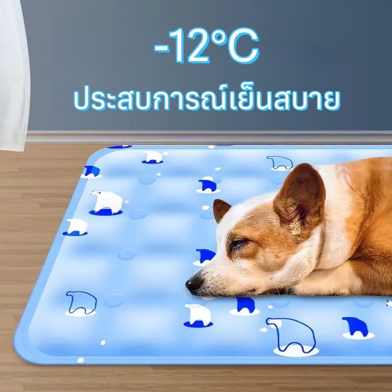 ผู้ใหญ่ อเนกประสงค์ ที่นอนเจลเย็น แผ่นเจลเย็น เบาะนอนเย็น ใช้หลังจากเติมน้ำแล้ว ที่นอนสัตว์เลี้ยง แผ่นเจลเย็นแมวสุนัข