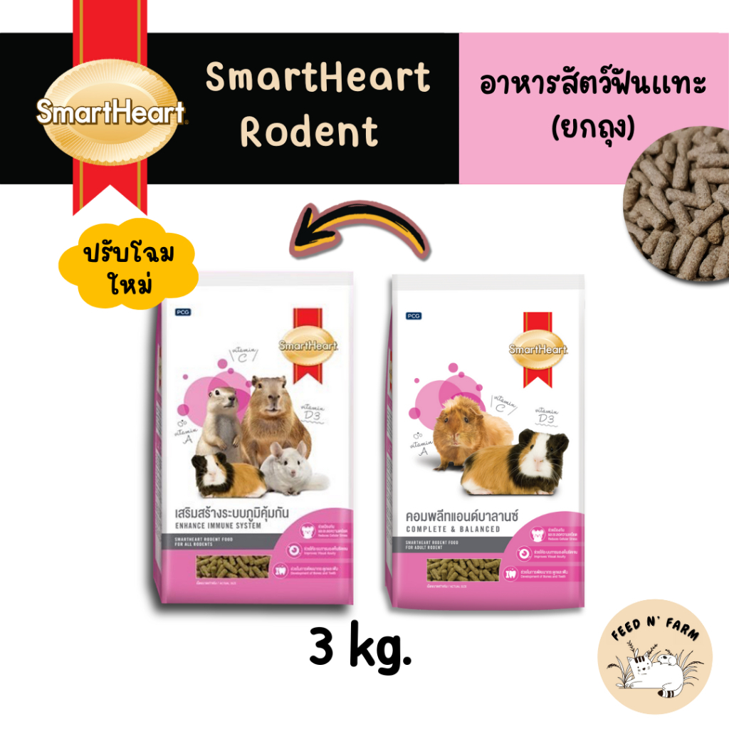 (3 kg.) อาหารสัตว์ฟันแทะ SmartHeart Rodent สมาร์ทฮาร์ท แกสบี้ หนูตะเภา ชินชิลล่า คอมพลีทแอนด์บาลานซ์