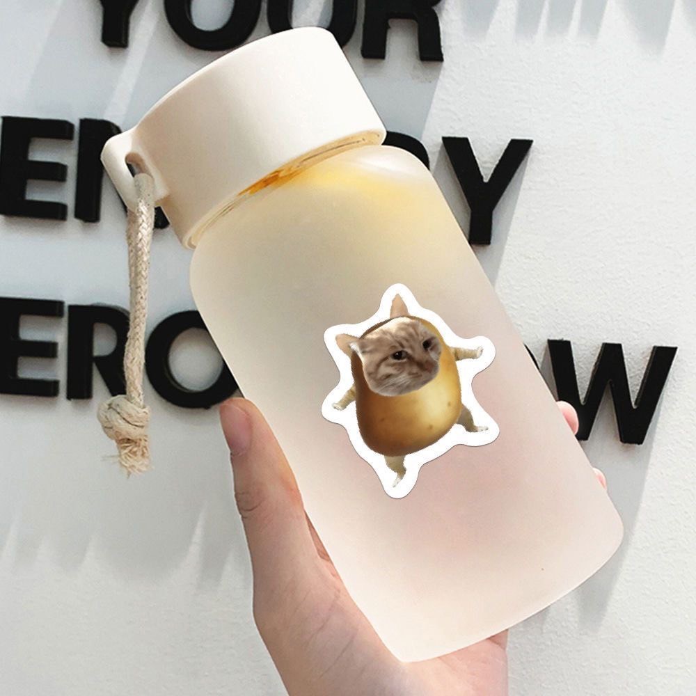 พร้อมส่ง สติกเกอร์มีมแมว มีมแมวตลก Funny cat meme sticker ไว้แปะเคส สมุด กระเป่า สติกเกอร์ตลก 52018 ราคา ถูกที่สุด ดีลบีเคเค แกลเลอรีภาพที่ 5