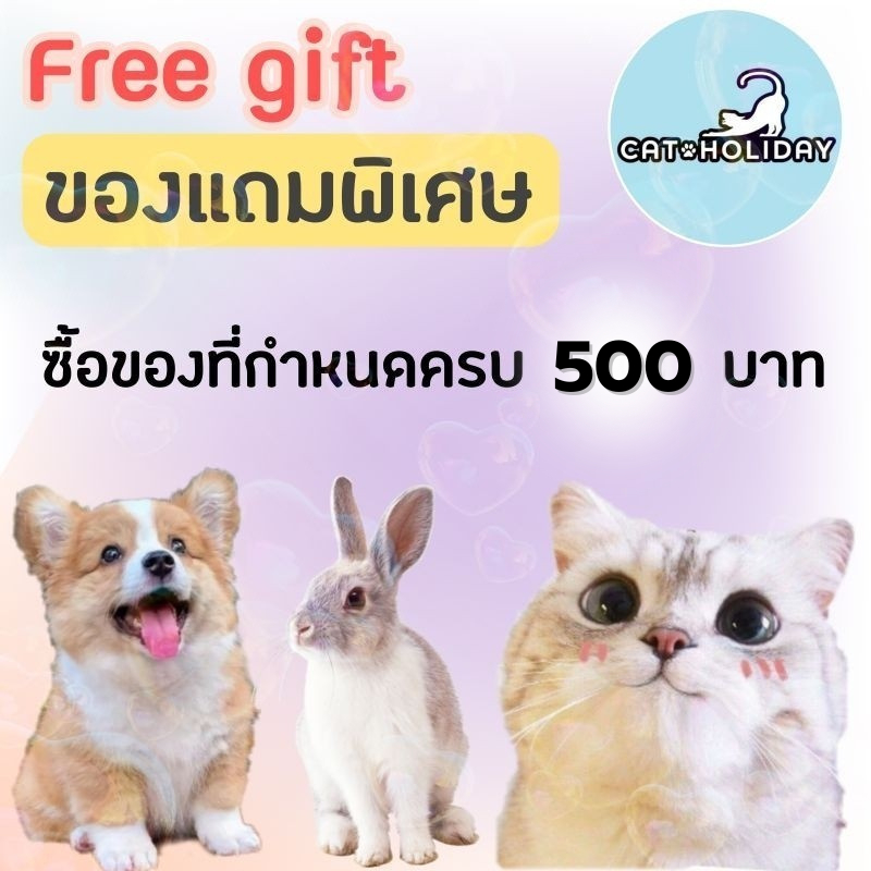 ของแถม CatHoliday ของแถมเมื่อซื้อสินค้าที่กำหนดครบ 500 บาท