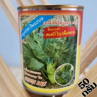 เมล็ดพันธุ์ผัก โหระพา คะน้าฮ่องกง กะเพรา เขียวน้อย คะน้าเห็ดหอม คะน้า แมงลัก ขึ้นฉ่าย ผักบุ้ง ผักกาดหอม กวางตุ้ง ผักชี