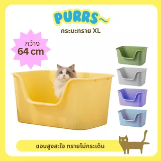 [ส่งฟรี] Purrs ใหญ่มาก! กระบะทรายแมว XL ขอบสูง ทรายไม่กระเด็น กว้างถึง 64 ซม.