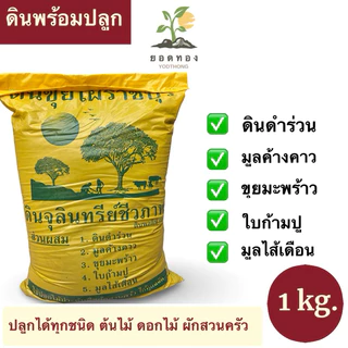 (ส่งด่วนส่งทันที) Yodthong ดินพร้อมปลูก 1 กิโลกรัม ผสมครบจบ ไม่ต้องผสมเพิ่มเติม ดินปลูกต้นไม้