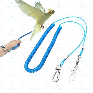 สายเชือกจูงนกแก้ว สายจูงนกแก้ว เชือกฝึกอบรมนก สายคล้องขานก เ…