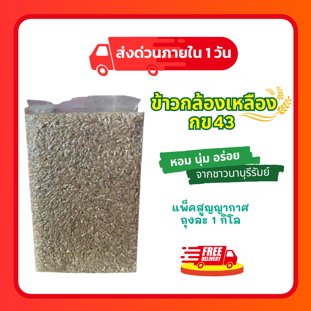 ข้าวกล้องออร์แกนิค ข้าวกล้อง กข43 ข้าวดัชนีน้ำตาลปานกลางค่อนข้างต่ำ ถูกสุดๆ ของดีเพื่อสุขภาพสุด ไม่ติดสติ๊กเกอร์แบรนด์