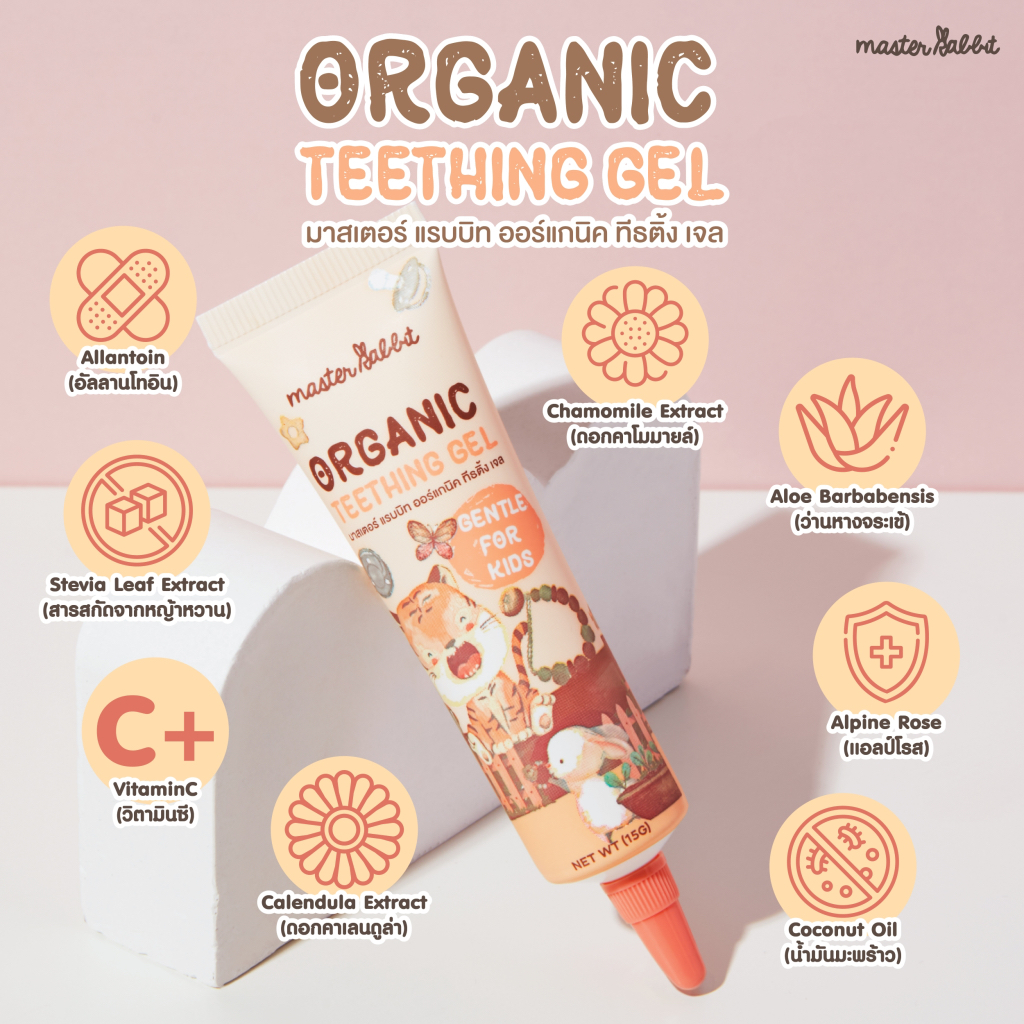 รูปภาพ 4