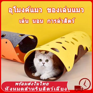 😻อุโมงค์แมว ของเล่นแมว อุโมงค์สัตว์เลี้ยง อุโมงค์แมว หลายรูเ…