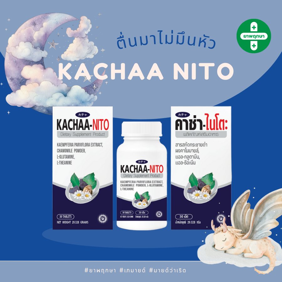 kachaa Nito คาช่าไนโต๊ะ หลับลึก สบาย ไม่งวงเงีย