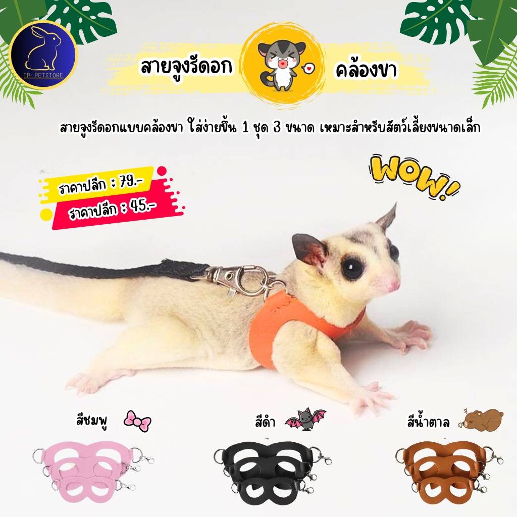 สายจูงชูก้าร์ไกลเดอร์ หนูแฮมเตอร์ ชูการ์ กระรอก รัดอก 3 ขนาด สายจูงสัตว์เลี้ยง