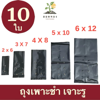 (ส่งด่วนส่งทันที) Yodthong ถุงเพาะชำ ถุงปลูกผัก เจาะรู เพาะกล้า ถุงปลูกต้นไม้ เหนียวมาก แบบชุด 10 ใบ กระถางปลูกต้นไม้
