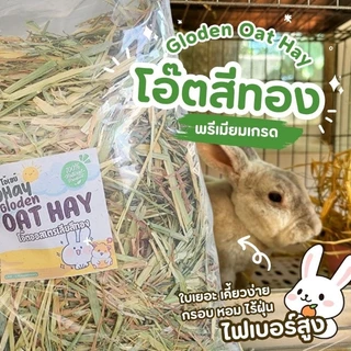 ✅️ขายดี 🌼โอ๊ตสีทอง หญ้าโอ๊ตทองออสเตรเลีย สำหรับกระต่ายและแกสบี้ 500 กรัมร่อนฝุ่น