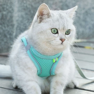 Fly-soft สายรัดอกแมวและสุนัข ฟรีสายจูง เสื้อรัดอกแมว ระบายความร้อน dog and cat shirt harness