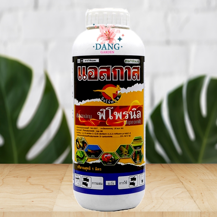 ปลวก แอสกาส ขนาด 1 ลิตร พิโพรนิล5เอสซี  กำจัดเพลี้ยไฟ หนอน ปลวก พิโพรนิลยกลัง กำจัดปลวก กำจัดปลวกยกรัง