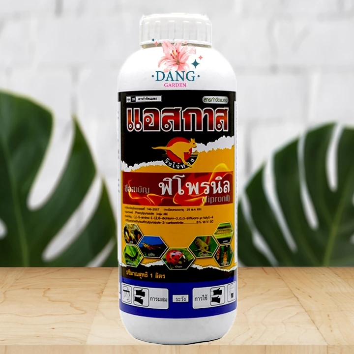 ปลวก แอสกาส ขนาด 1 ลิตร พิโพรนิล5เอสซี กำจัดเพลี้ยไฟ หนอน ปลวก พิโพรนิลยกลัง กำจัดปลวก กำจัดปลวกยกรัง