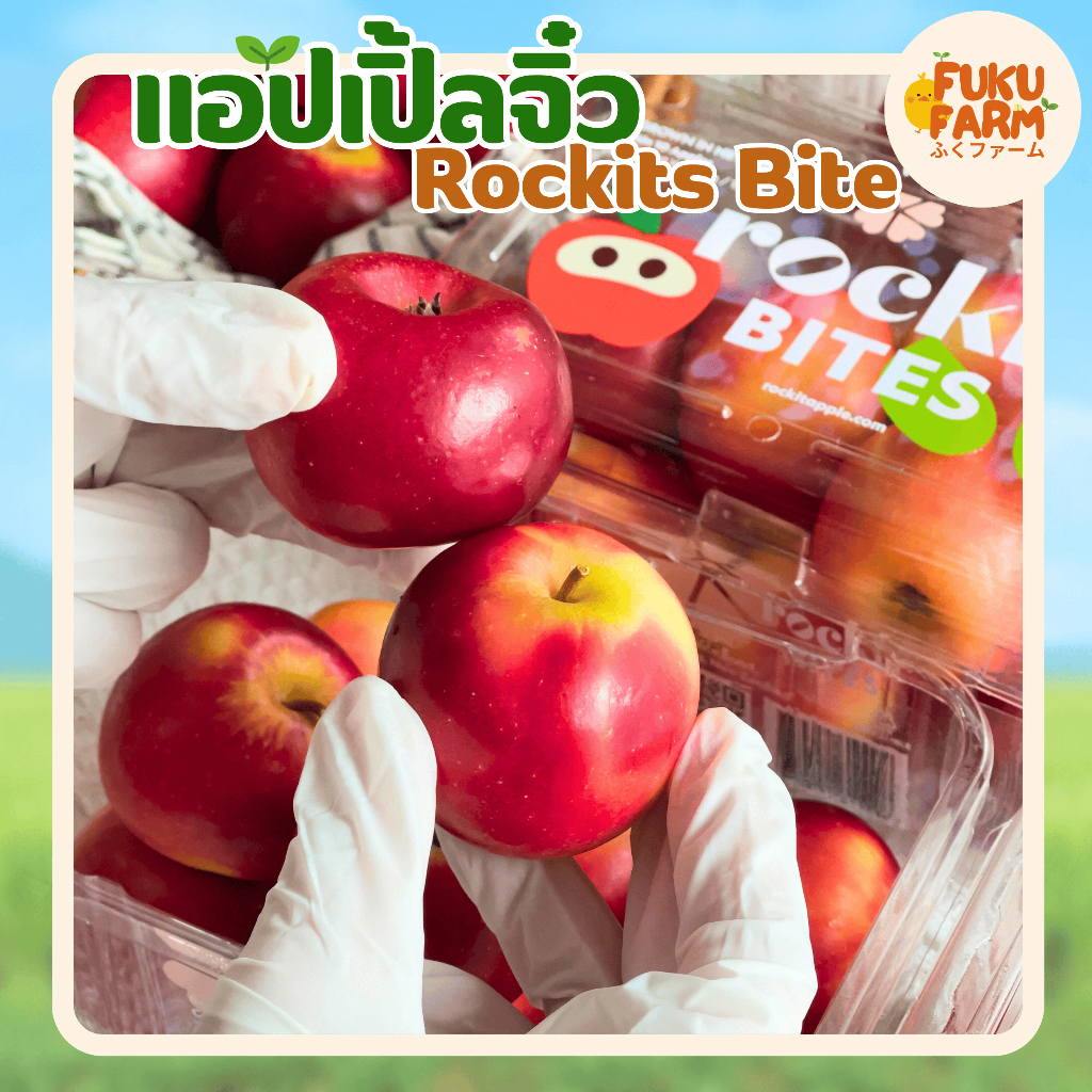 แอปเปิ้ล Apple Bites แอปเปิ้ลจิ๋ว ผลไม้นำเข้า นำเข้าจากนิวซีเเลนซ์ Premium หวาน กรอบ Newzealand ลดพิ