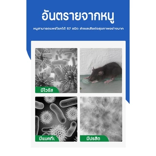 📢ไม่มีหนูตลอดไป📢เครื่องไล่หนู2025 ที่ไล่หนูไฟฟ้า ไล่หนูในบ้านได้ผล100% นอกจากหนูแล้ว ไล่จิ้งจก แมลงสาบไล่ยุง ค้างคาวปลวก