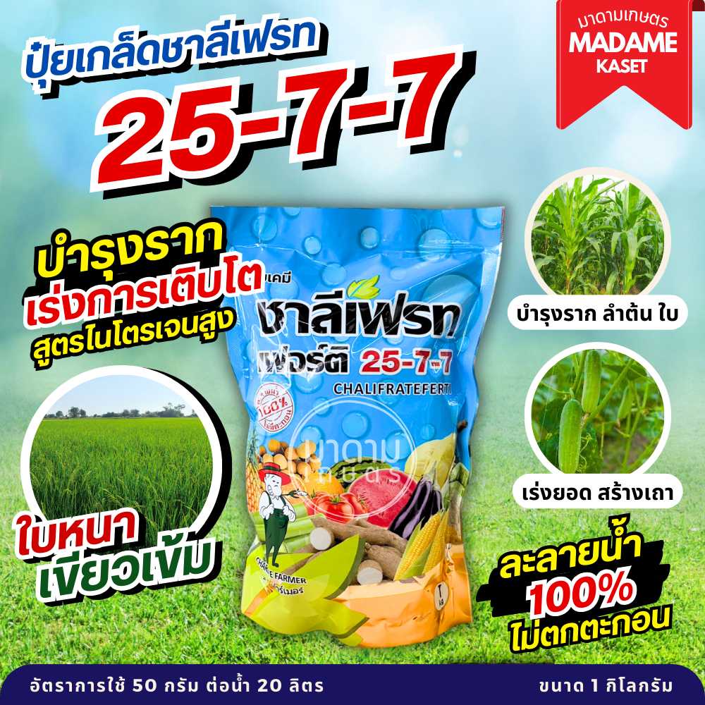 ชาลีเฟรท 25-7-7 เร่งการเจริญเติบโต เร่งเขียว เร่งงาม ฟื้นฟูลำต้นหลังเก็บเกี่ยว 1 กิโลกรัม