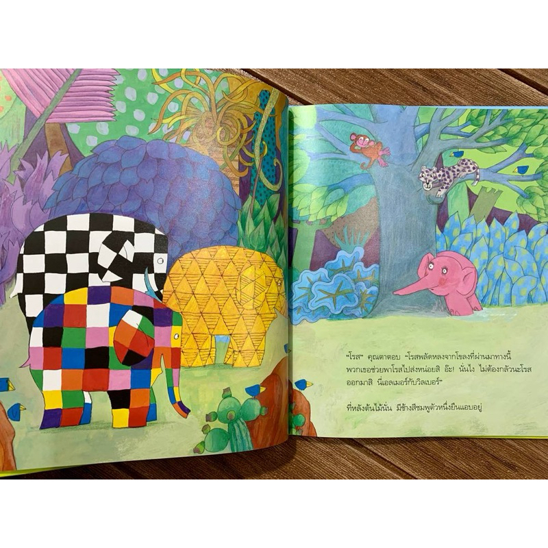 เอลเมอร์ และ เอลเมอร์กับโรส (ปกแข็ง) นิทานที่คุณหมอประเสริฐแนะนำ - รูปที่ 7