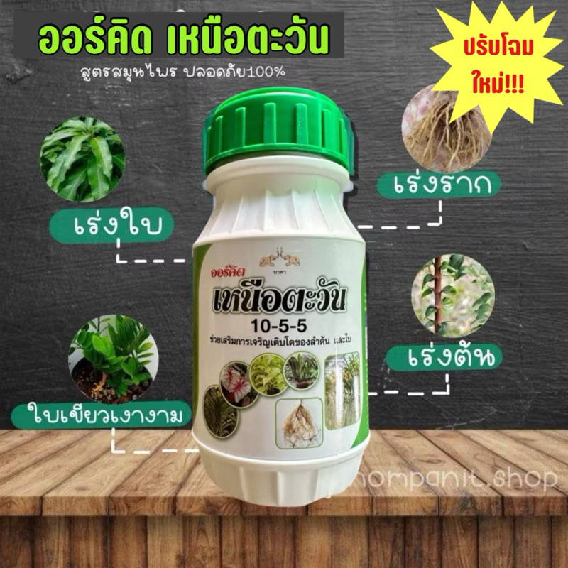 ออร์คิด เหนือตะวัน (เขียว) สมุนไพร ฮอร์โมนสูตรเข้มข้น เร่งใบ เร่งต้น เร่งราก